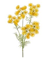 Wildwortel l80cm geel