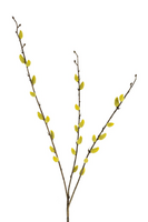 Wilgenkatjestak l55cm geel