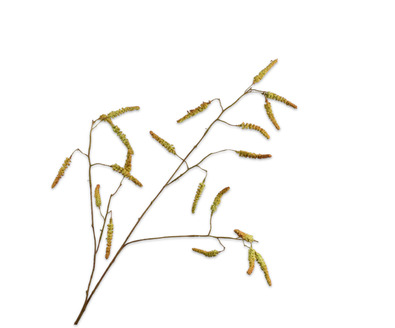 Wilgenktak l95cm groen/bruin