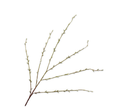 Wilgentak l111cm groen