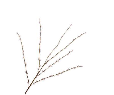 Wilgentak l111cm roze/groen