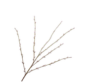 Wilgentak l111cm roze/groen