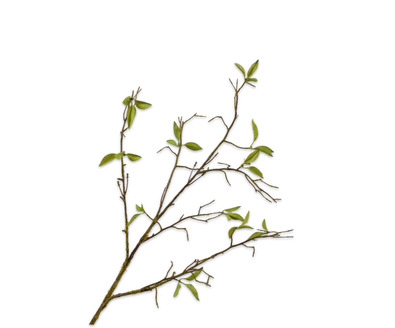 Wilgentak l76cm groen