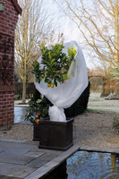 Winterafdekvlies h2b10m 30g/m2