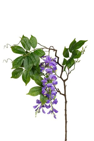Wisteriasteel l105cm lila