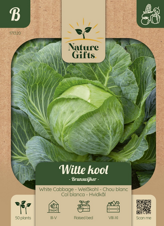 Witte kool brunswijker 50st