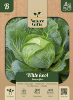 Witte kool brunswijker 50st