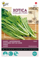 Xotica amsoi mung choi 3g