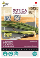 Xotica citroengras 0.2g - afbeelding 1