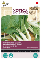 Xotica paksoi kanton 2g