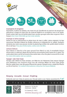 Xotica palmboom sla. aspergesla - afbeelding 2
