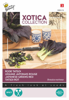 Xotica peper rode tatsoi