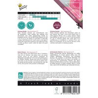 Xotica radijs red impression 50zdn - afbeelding 2