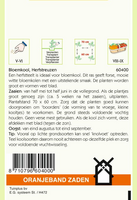 Zaden bloemkool herfstreuzen 2 1g - afbeelding 2