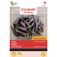 Zaden culinary peppers black naga