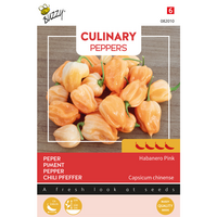 Zaden culinary peppers habanero pi. - afbeelding 2