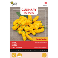 Zaden culinary peppers madame jeanette