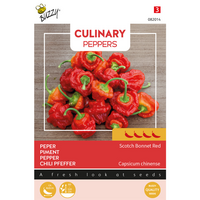 Zaden culinary peppers scotch bonnet