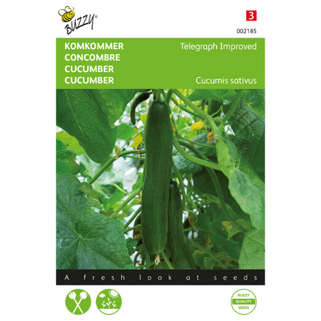 Zaden komkommer telegraph imprvd 1g