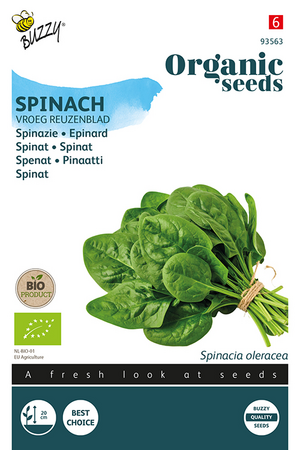 Zaden spinazie reuzenblad 15g