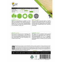 Zaden suikermais glacial 20zdn - afbeelding 2