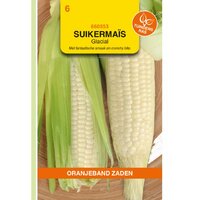 Zaden suikermais glacial 20zdn