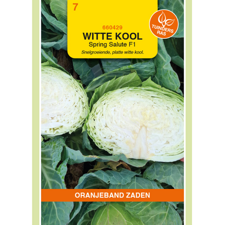 Zaden witte kool spring salute 50zdn