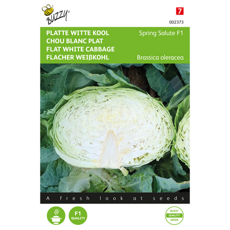 Zaden witte kool spring salute 50zdn