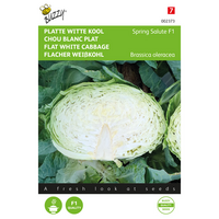 Zaden witte kool spring salute 50zdn