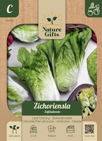 Zichoriensla herfstsla 200st