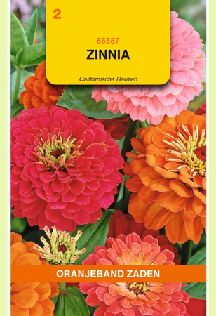 Zinnia californische reus mix 1.5g - afbeelding 1