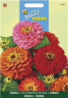 Zinnia elegans californisch rs 1.5gram - afbeelding 3
