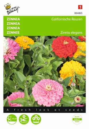 Zinnia elegans californisch rs 1.5gram - afbeelding 1