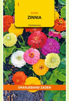 Zinnia elegans dahliabloem mix 1.5g