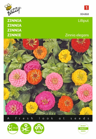 Zinnia elegans liliput pompon 1.5gram - afbeelding 1
