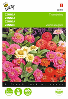 Zinnia elgegans thumbelina mx 0.75gram - afbeelding 1