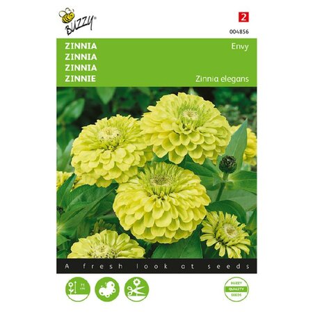 Zinnia envy. green 1g - afbeelding 1