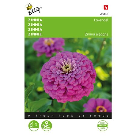 Zinnia lavendel 25zdn - afbeelding 1