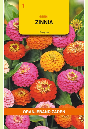 Zinnia pompon mix 1.5g - afbeelding 1