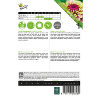Zinnia queeny lime red 25zdn - afbeelding 2