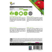 Zinnia scarlet flame 1g - afbeelding 2