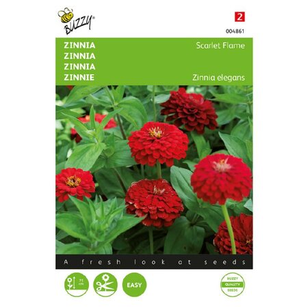 Zinnia scarlet flame 1g - afbeelding 1