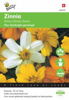 Zinnia star starbright mixed 20zaden - afbeelding 3