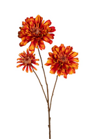 Zinniasteel x3 l90cm oranje