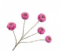 Zinniatak l91cm lavendel