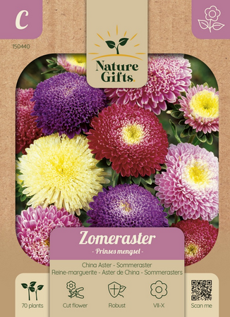 Zomeraster prinses mengsel 70st