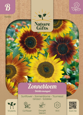 Zonnebloem debilis mengsel 50st