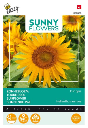 Zonnebloem irish eyes 1gram - afbeelding 1