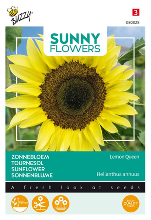 Zonnebloem lemon queen 1gram - afbeelding 1