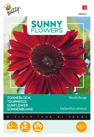Zonnebloem moulin rouge 1gram - afbeelding 1